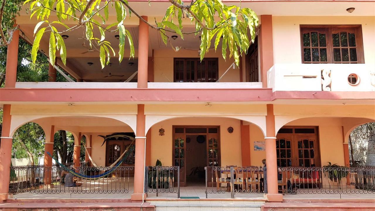 Villa Mango Hostel 푸에르토 에스콘디도 외부 사진