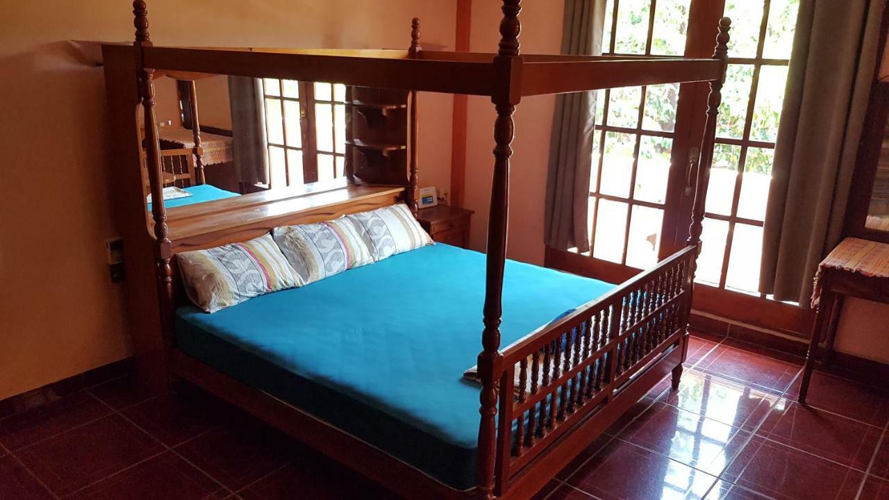 Villa Mango Hostel 푸에르토 에스콘디도 외부 사진