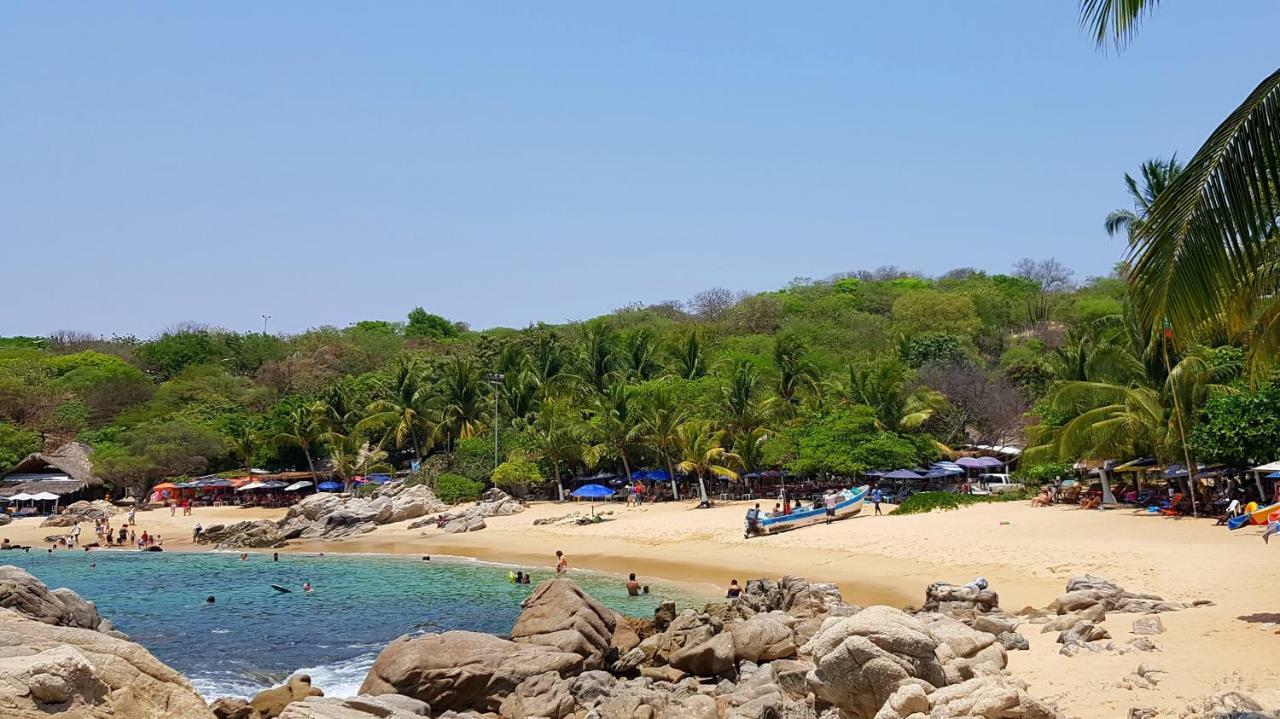 Villa Mango Hostel 푸에르토 에스콘디도 외부 사진