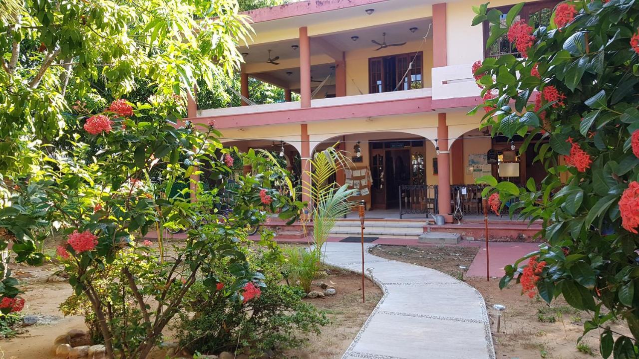 Villa Mango Hostel 푸에르토 에스콘디도 외부 사진